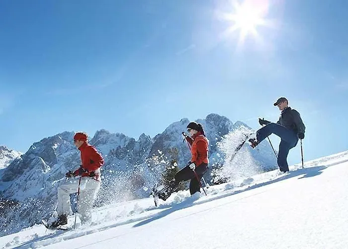 Goisernperle 公寓式酒店