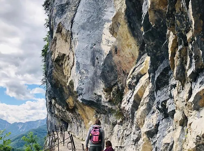 Goisernperle 公寓式酒店 巴德哥依斯恩