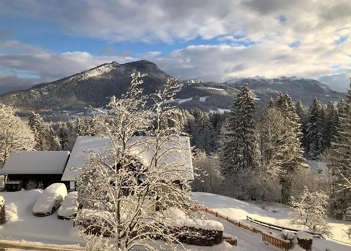 公寓式酒店 Goisernperle 3*